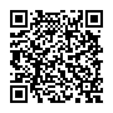 QR code for plate 96H 091