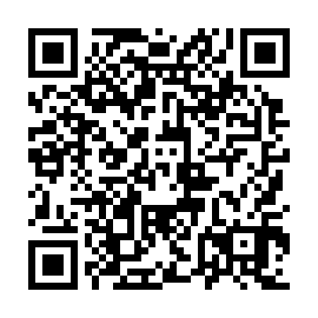 QR code for plate 96H 310