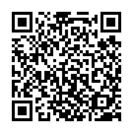 QR code for plate 96I 689