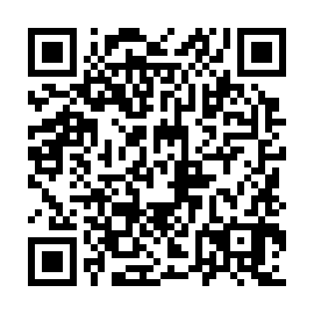 QR code for plate 96L 382