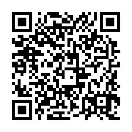 QR code for plate 96L 387