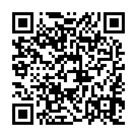 QR code for 96N 955