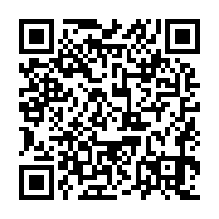 QR code for 96N971