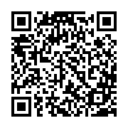 QR code for 96P 142
