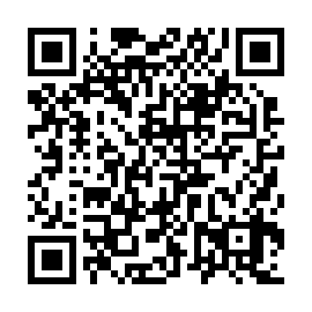 QR code for 96P 238