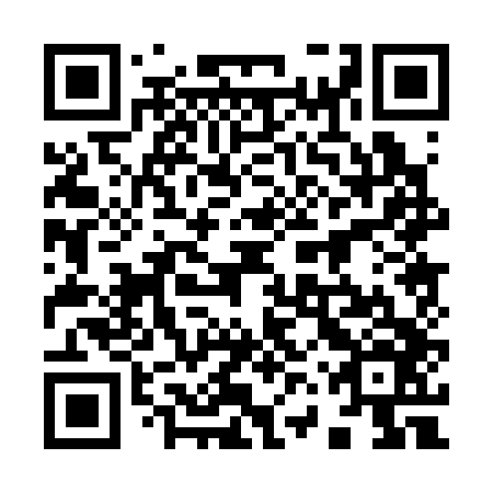 QR code for 96P 346