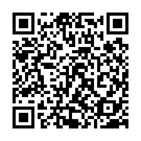 QR code for 96Q738