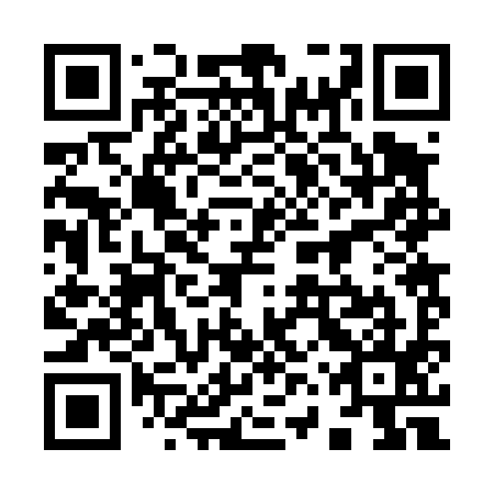 QR code for plate 96R 495
