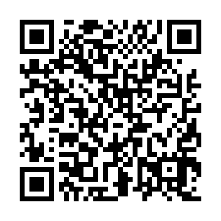 QR code for 96S 417