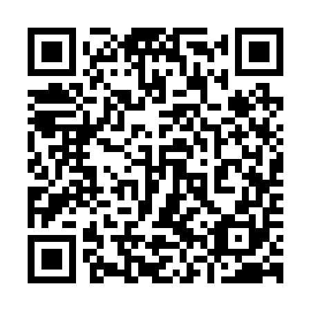 QR code for plate 96S 250