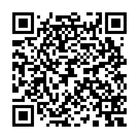 QR code for plate 96S 319