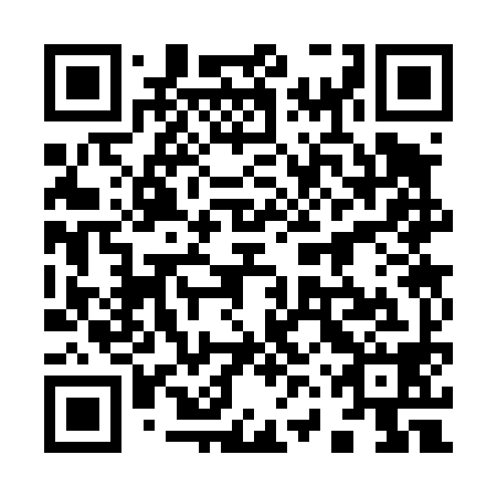 QR code for plate 96S 498
