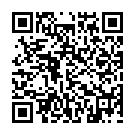 QR code for 96T 238
