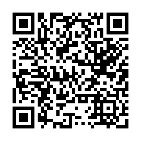 QR code for 96T303
