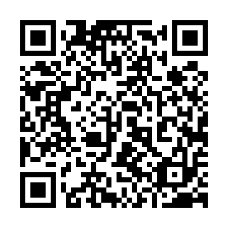 QR code for plate 96T 513