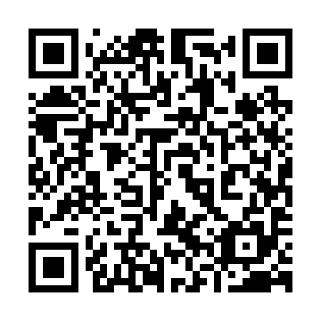 QR code for 96U295