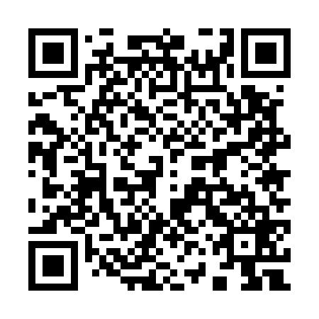 QR code for plate 96U 569