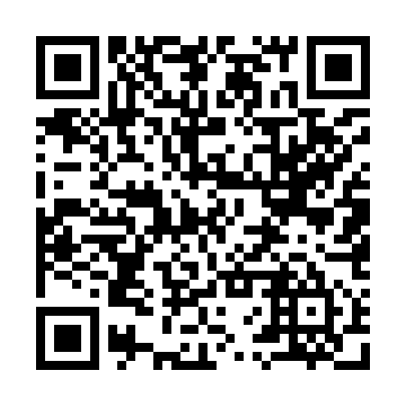 QR code for plate 96U 955