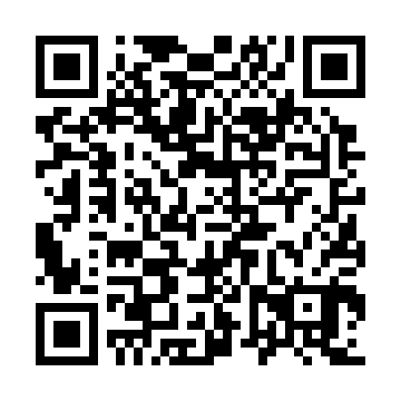 QR code for 96V 300