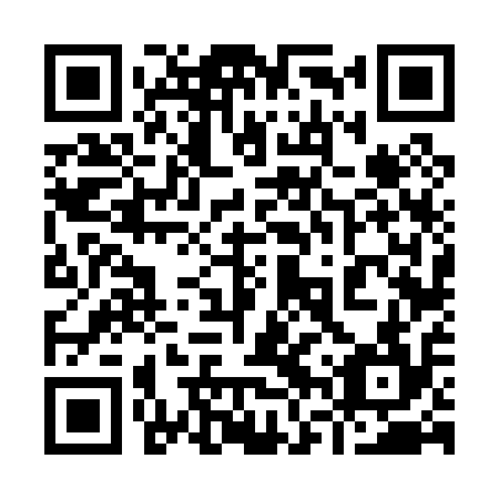 QR code for plate 96V 014