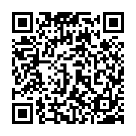 QR code for plate 96V 833