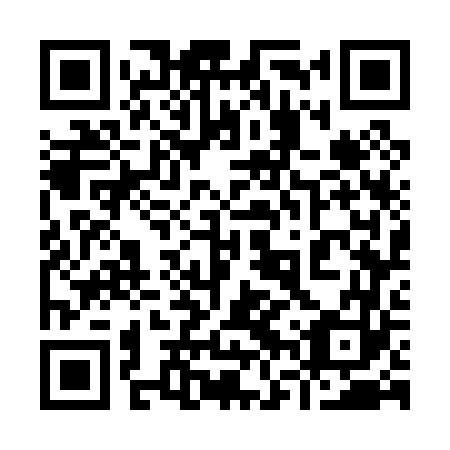 QR code for plate 96W 063