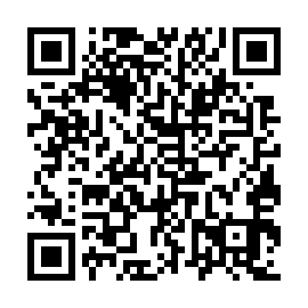 QR code for plate 96W 751