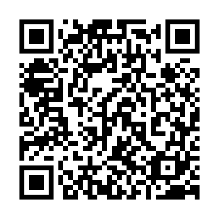 QR code for plate 96W 861