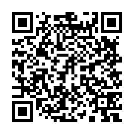 QR code for plate 96W 878