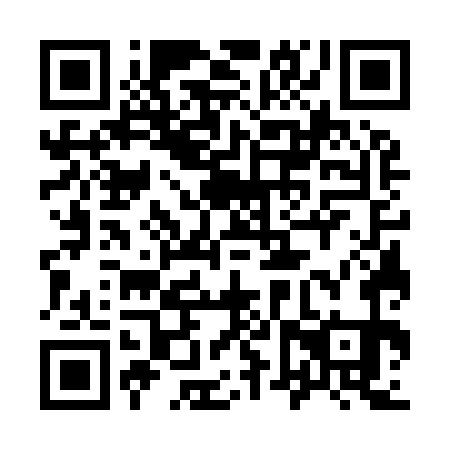 QR code for plate 96W 971