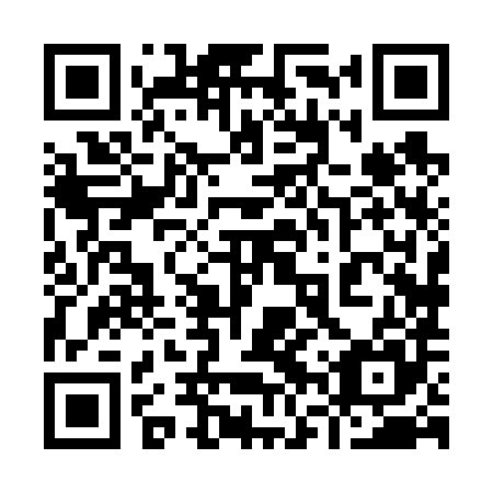 QR code for plate 96X 685