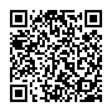 QR code for plate 96Y 419