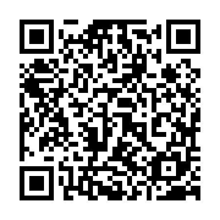 QR code for plate 96Z 155