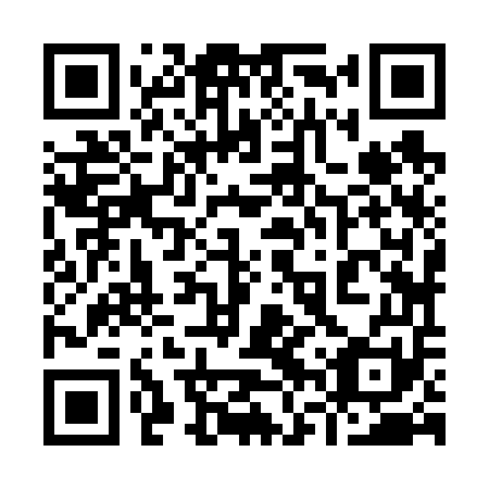 QR code for plate 96Z 651