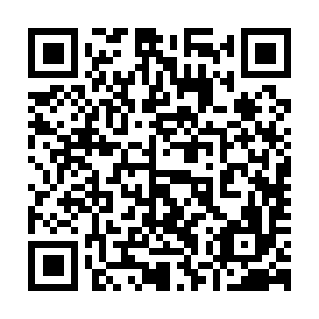 QR code for plate 97R 196