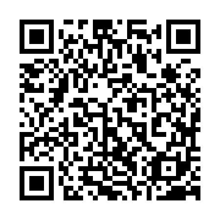 QR code for plate 97Z 951