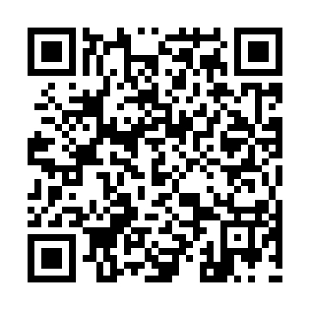 QR code for plate 98M 917
