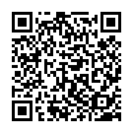 QR code for plate 98N 438