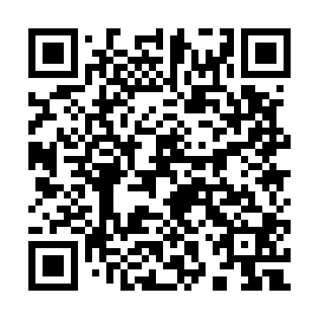 QR code for plate 98Q 500