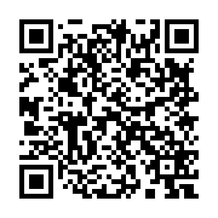 QR code for plate 98Q 869