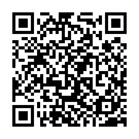 QR code for plate 98R 520
