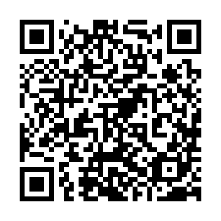 QR code for plate 98X 380