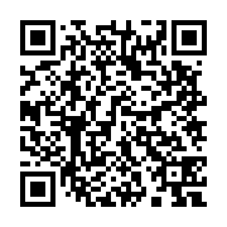 QR code for plate 98Z 538