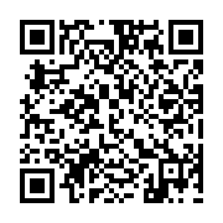 QR code for 98Z600