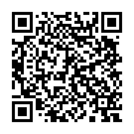 QR code for plate 99C 413