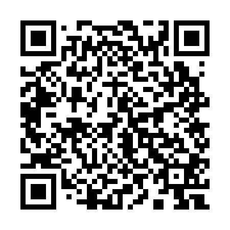 QR code for plate 99G 300