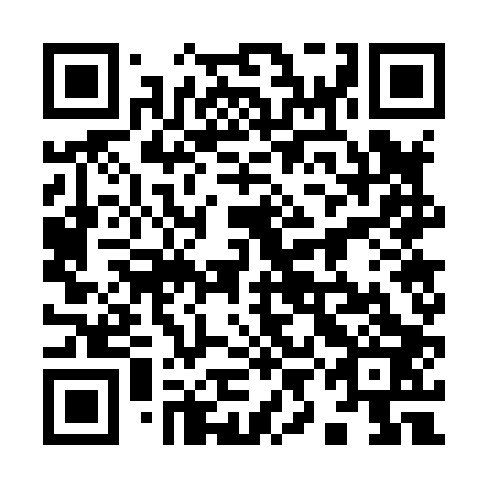 QR code for plate 99G 803