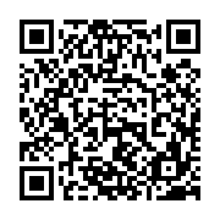 QR code for plate 99R 536