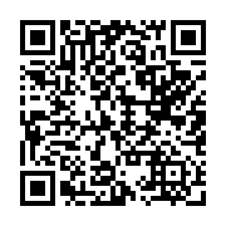 QR code for plate 99U 451