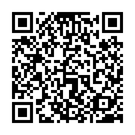 QR code for plate 99V 229
